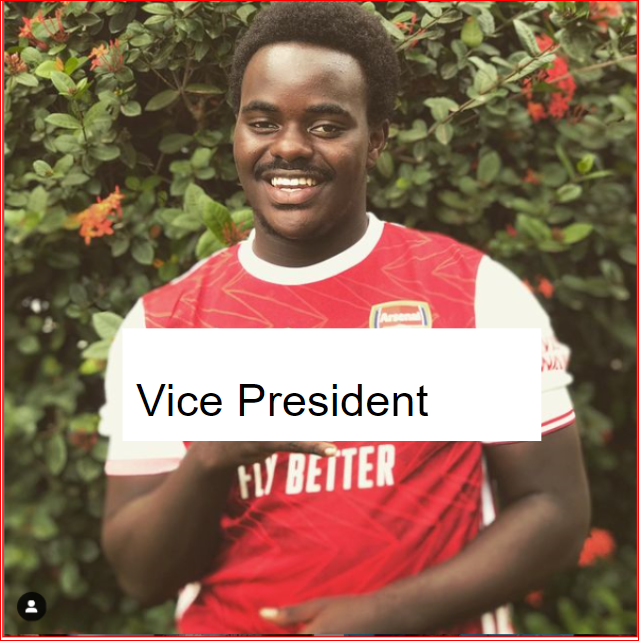 Vice president